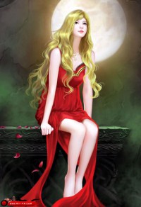 天賜金龜婿